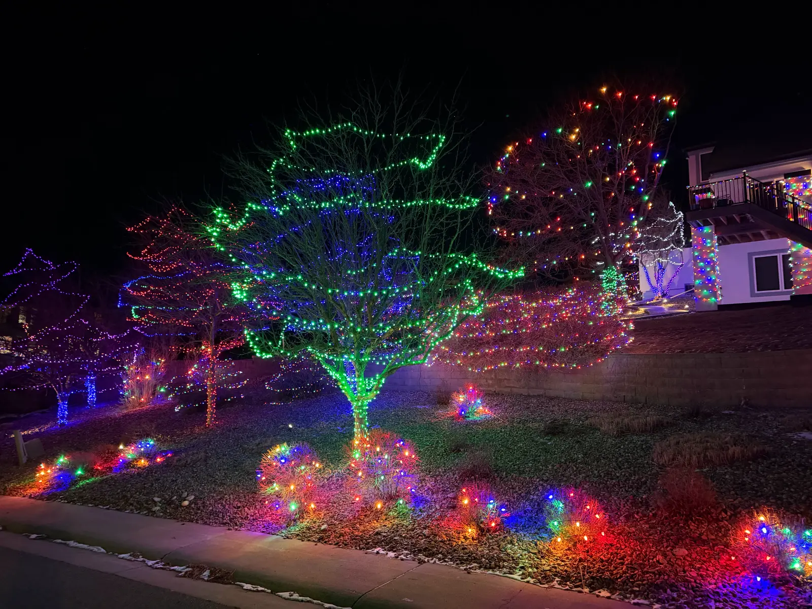 Trees & Shrubs