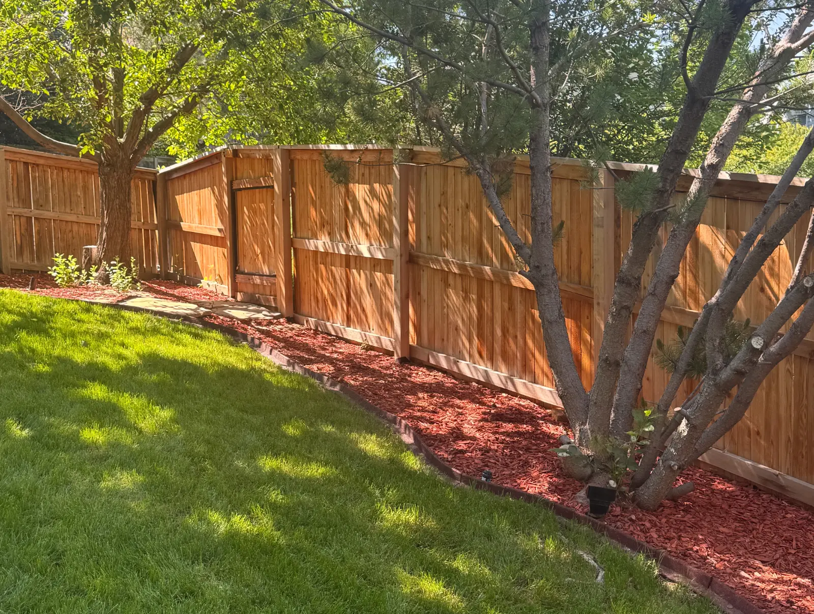 Fencing photo 1