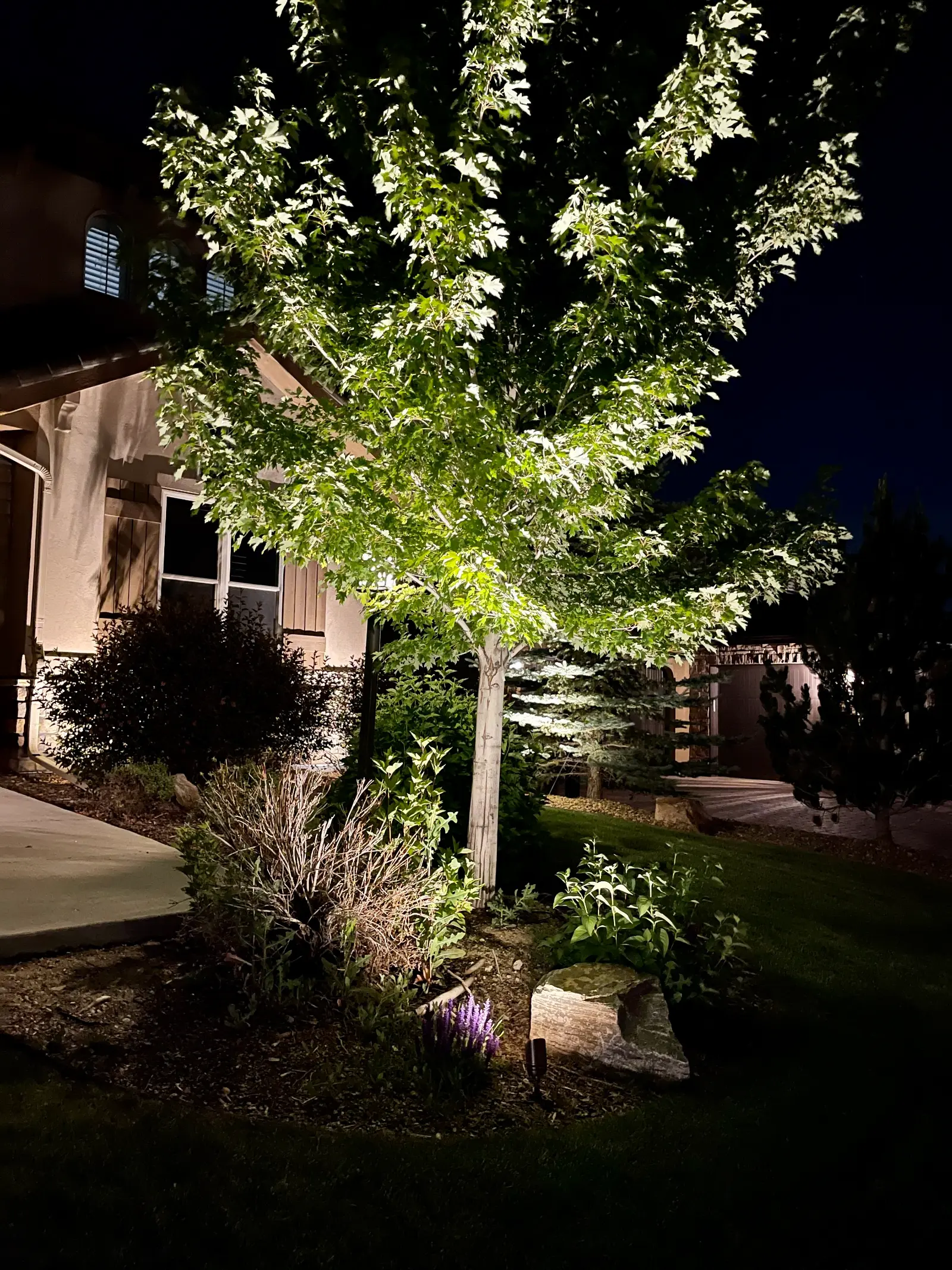 Tree & Landscape Accents